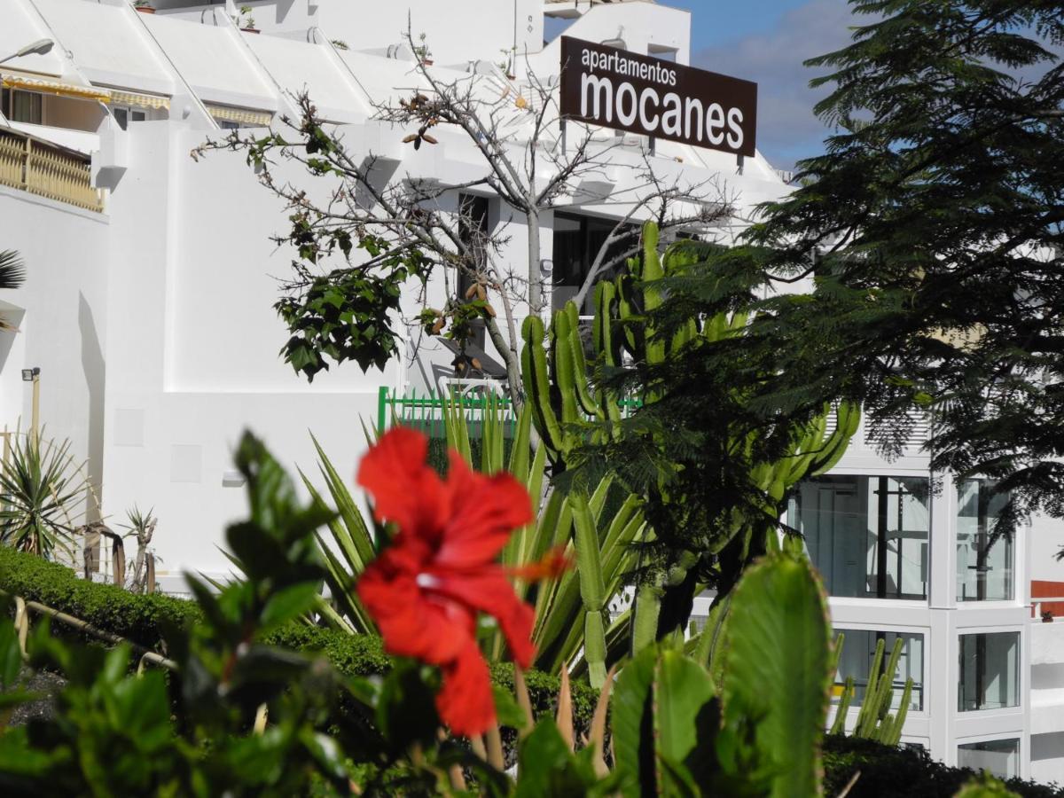 Apartamentos Los Mocanes 波多黎各 外观 照片