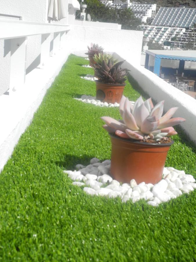 Apartamentos Los Mocanes 波多黎各 外观 照片